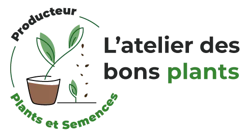 Logo l'Atelier des bons plants, plants et semences bios