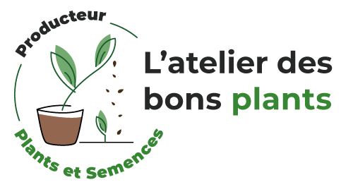 Logo l'Atelier des bons plants, plants et semences bios