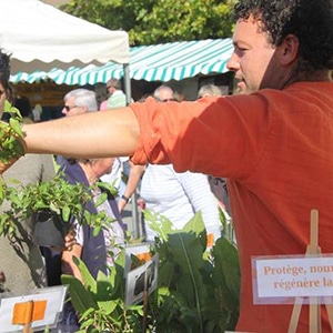 Atelier des Bons Plants sur les marchés du morbihan -producteur de plants et semences bio