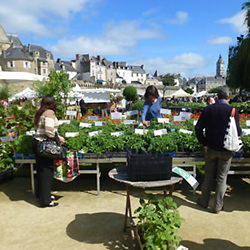 Atelier des Bons Plants caden producteur de plants et semences bio sur les marchés locaux du Morbihan