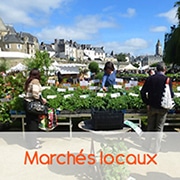 Marchés locaux Atelier des Bons Plants caden producteur de plants et semences bio