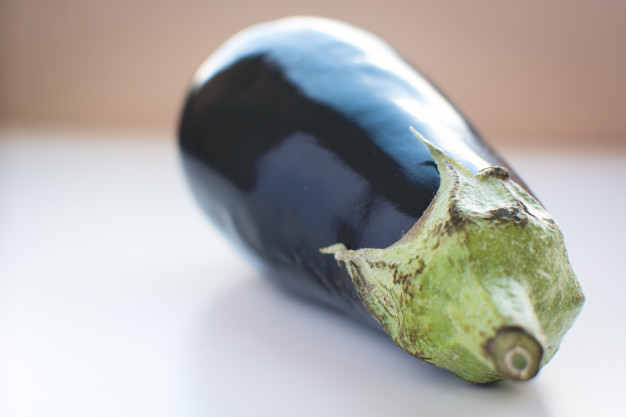 Graines aubergine Bio de l'Atelier des Bons Plants