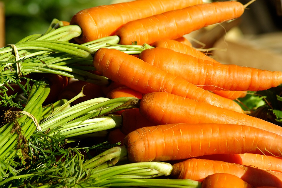 Carottes en direct de Bretagne