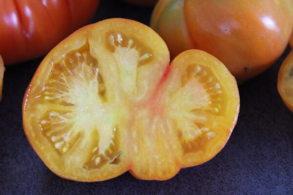 Tomate Bio Joyau d' Oaxaca