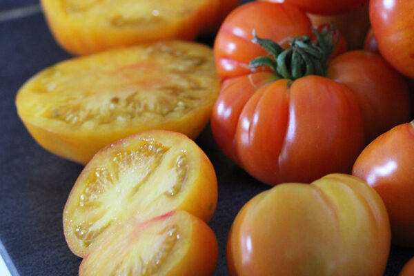 Tomate Bio Joyau d' Oaxaca