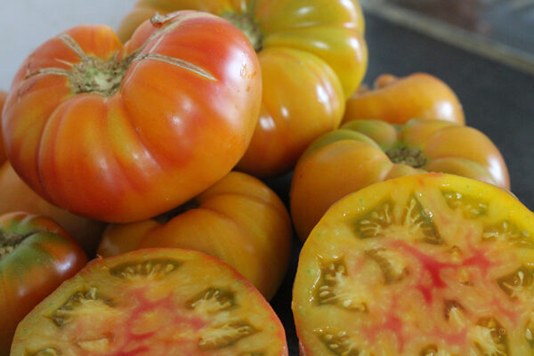 Tomate Bio Ananas