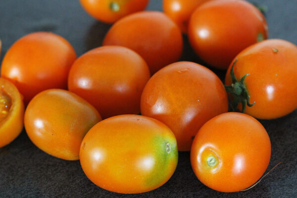 Tomate Bio Ida Gold