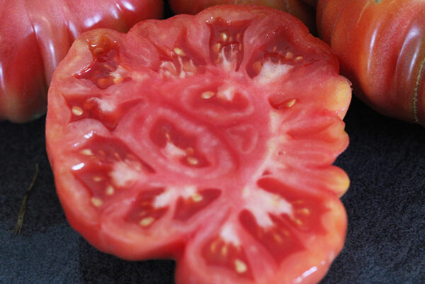 Tomate Bio Zapotec Pink