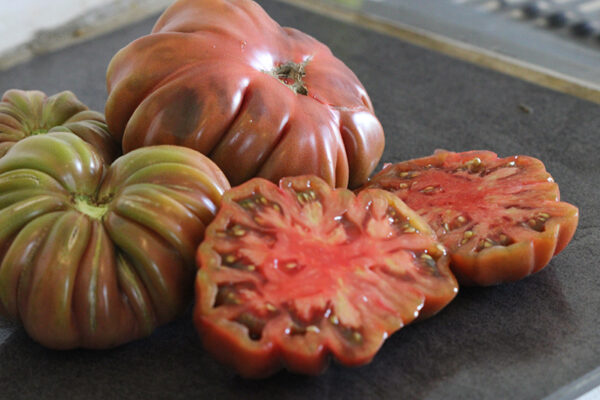 Tomate Bio Zapotec Brown