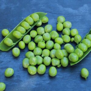 Petits pois et Fève