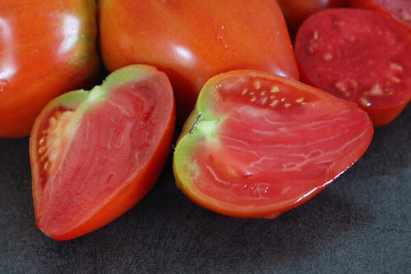 Tomate Coeur de Boeuf Bio