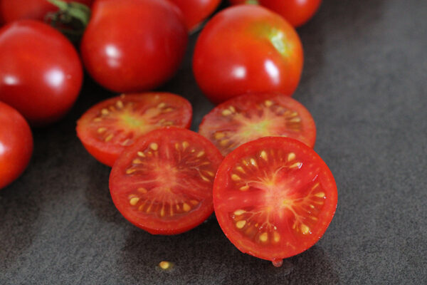 Tomate Précoce de Quimper Bio