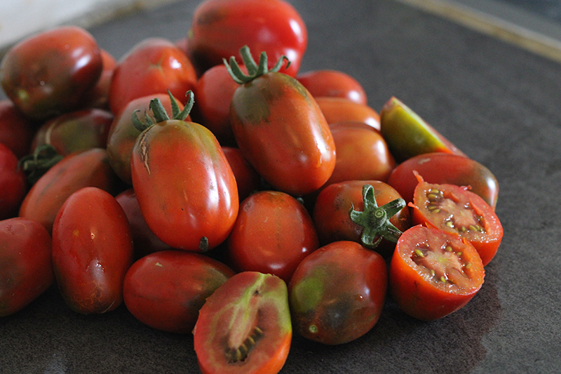 Tomate cerise Prune Noire Bio