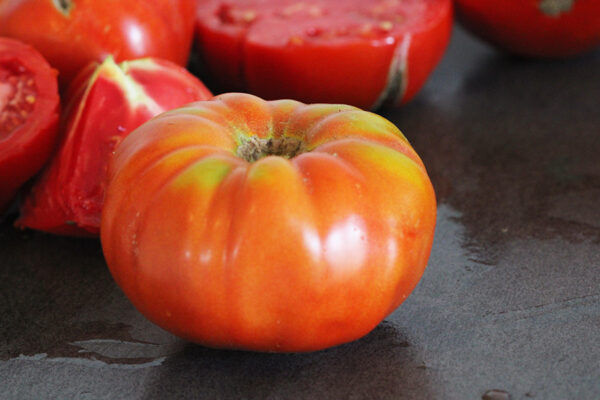 Tomate Rouge Russe Bio