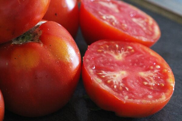 Tomate Royale des Guineaux Bio