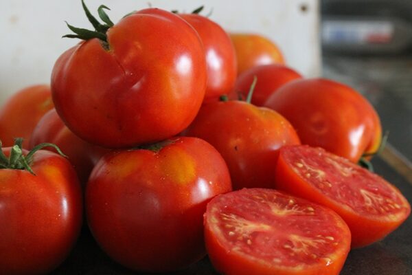 Tomate Royale des Guineaux Bio