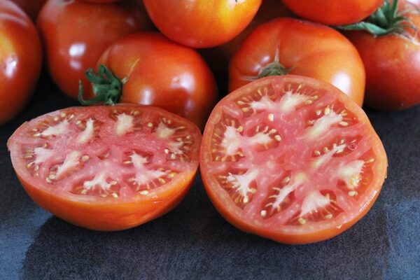 graines Tomate Bio Saint pierre