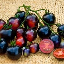 Tomate cerise Bleue Bio