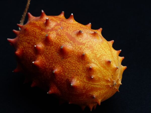 kiwano fruit exotique