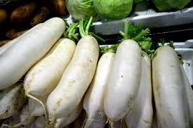 radis daikon bio