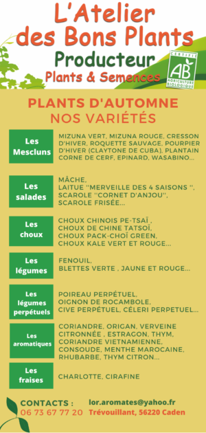 plants bio d'automne - l'atelier des bons plants