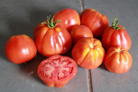 semences de graines de tomates Liguria bio 