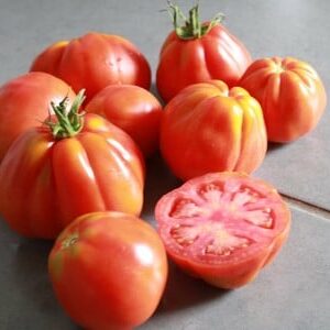 Tomates autres couleurs