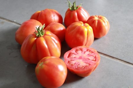 graines de tomates Liguria bio 