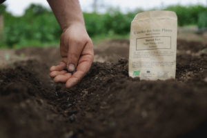 Graines et semences bios
