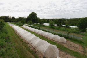 ferme horticole Bretagne