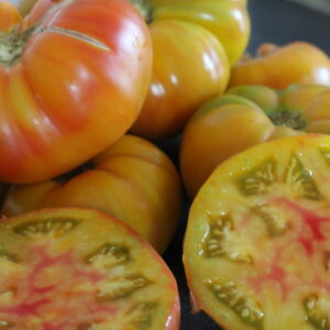 Tomates Jaunes