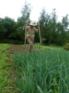 Passer la grelinette dans son potager