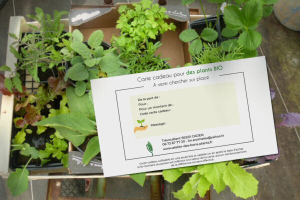 carte cadeau de plants bio de chez l'atelier des bons plants, Caden 56220